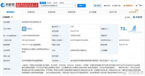 新东方武汉成立科技公司，注册资本1000万发力信息技术咨询