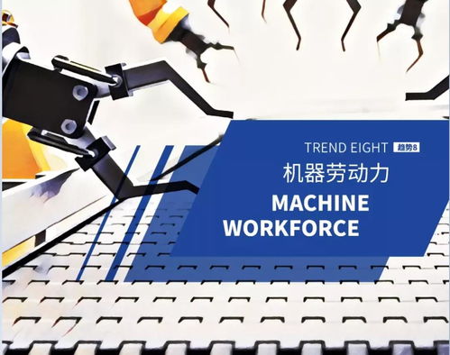 科技赋能，逆袭成为高效解放双手的信息技术咨询顾问